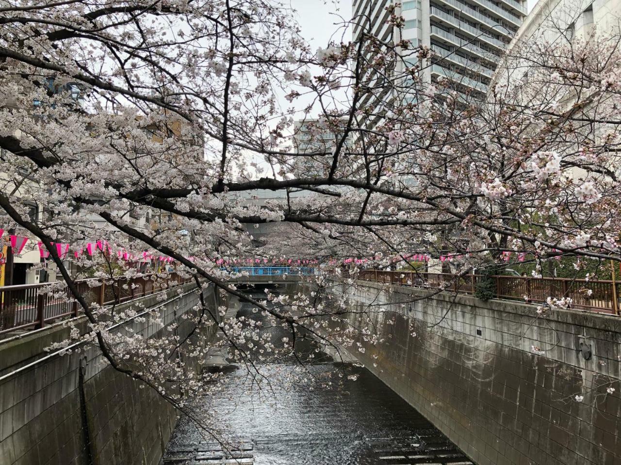 Wander Tokyo Shibuya Otel Dış mekan fotoğraf